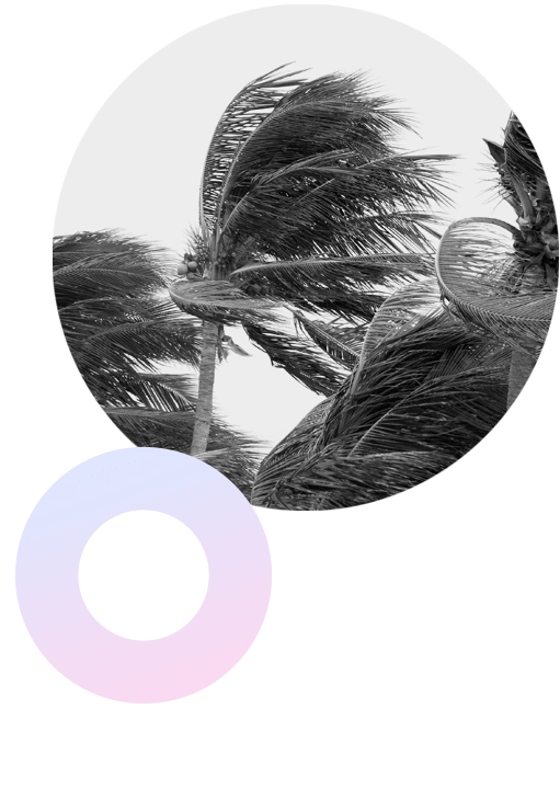 Download the Holborn Case Study